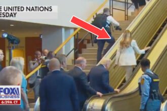 ‘She Walks on It’: Fox News Host Praises Melania for 'Heroic' Escalator Climb