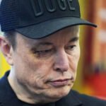 'Did he hit you?': Musk’s One-Word Post Reopens Ugly White House Fight Rumors