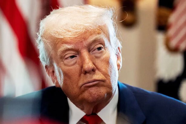MAGA Twists Itself Into Knots to Justify Trump’s Latest ‘Trap’