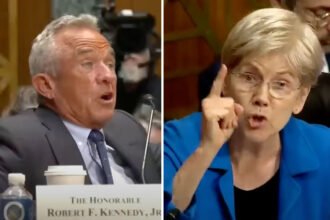 'You Lied!': Warren and RFK Jr. Shouting Match Rocks Senate Committee