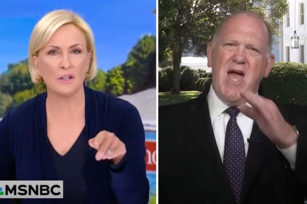 WATCH: Mika Brzezinski Confronts Tom Homan on ICE Arrest of Marine’s Father: 'What Do They Consider a Criminal?'