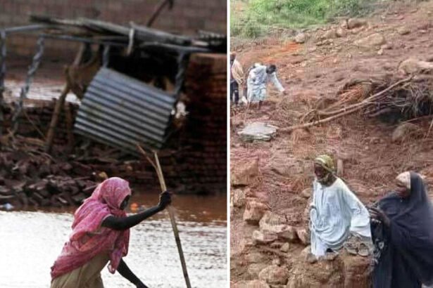Over 1,000 Dead After Landslide Wipes Out Sudanese Village: Report
