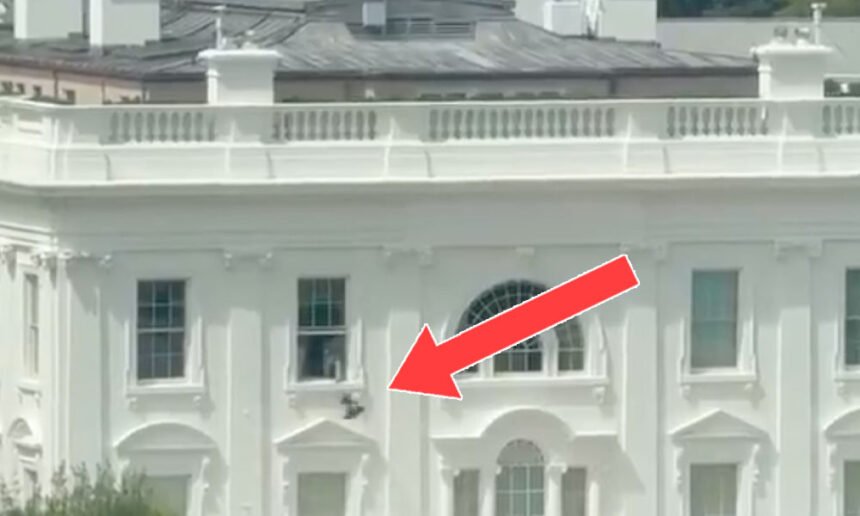 'What's Going on Here?': Black Trash Bags Tossed From White House Window Send Internet Into Overdrive