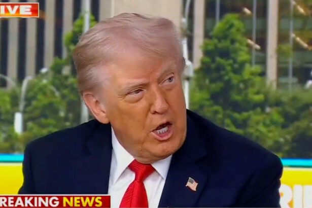 Watch: Trump Defends ‘Radical Right,’ Says ‘I Couldn’t Care Less’ About Fixing the Country