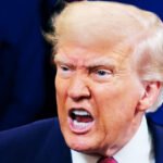 ‘Democrat HOAX’: Trump Deflects With Epstein Meltdown After Horrible Jobs Report
