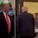 Trump Greeted by ‘Hitler’ Chants, Palestinian Flags at D.C. Restaurant