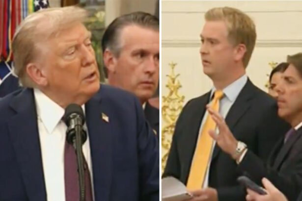 Trump Blames AI After Viral Video Shows Black Trash Bags Flying Out of White House — Says Windows 'Can’t Open'