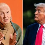 Jane Goodall’s Take on Trump’s ‘Chimp-Like’ Behavior Resurfaces After Her Death — And Now It’s Going Viral
