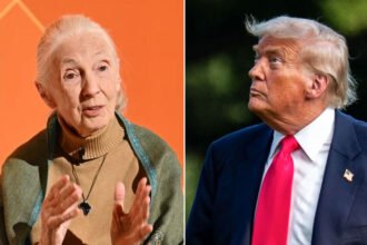 Jane Goodall’s Take on Trump’s ‘Chimp-Like’ Behavior Resurfaces After Her Death — And Now It’s Going Viral