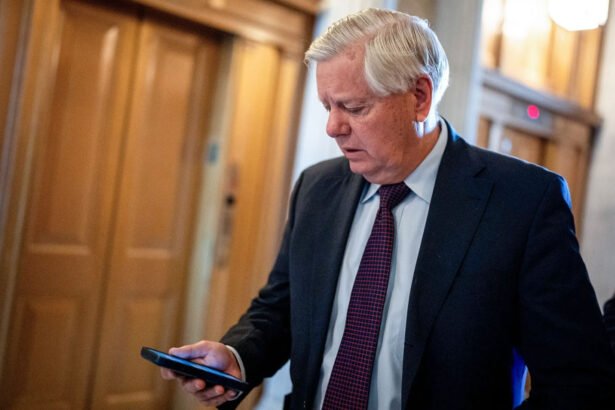 Siri Rats Out ‘Boomer’ Lindsey Graham: ‘Calling Sean Hannity Mobile’ Blasts Through the Senate