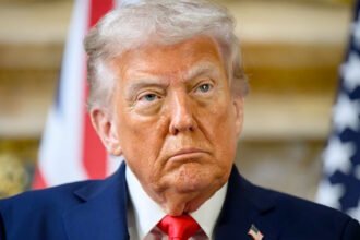 ‘Dr. Orange Clown’: Trump Ripped for Pushing ‘Bats--- Insane’ Medical Misinformation on Truth Social