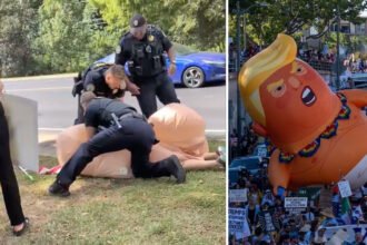 Viral Video Shows Alabama Cops Wrestling Giant Penis at Anti-Trump March