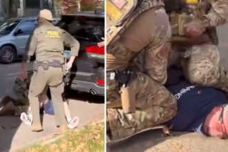 ICE Agents Kneel 67-Year-Old U.S. Citizen, Break Six Ribs as Children Watch on Halloween Street