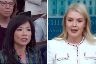 Leavitt Spins Out, Invents New Term While Trying to Explain Why Trump Can Bulldoze the White House