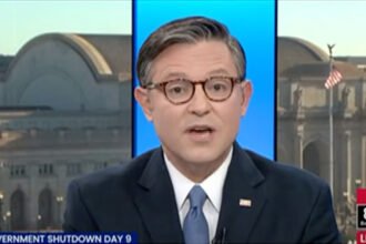 Mike Johnson Blames Dems After Getting Torched by Republican Military Mom Over Shutdown Excuses