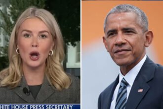 Leavitt Points Finger at Obama to Justify Trump Wrecking White House, Says Democrats Are Jealous