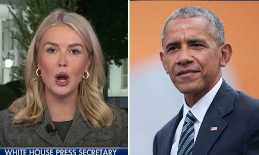 Leavitt Points Finger at Obama to Justify Trump Wrecking White House, Says Democrats Are Jealous