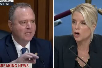 Bondi Snaps, Schiff Stays Cool — And Completely Schools Her in Brutal Senate Hearing Showdown