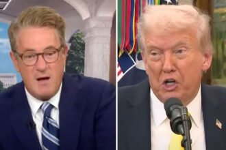 ‘All in Plain View’: Morning Joe Panel Stunned by Trump’s Blatant Call to Weaponize Justice Department