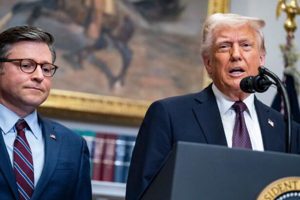 Mike Johnson Humiliated as Trump Declares ‘I’m the Speaker and the President’