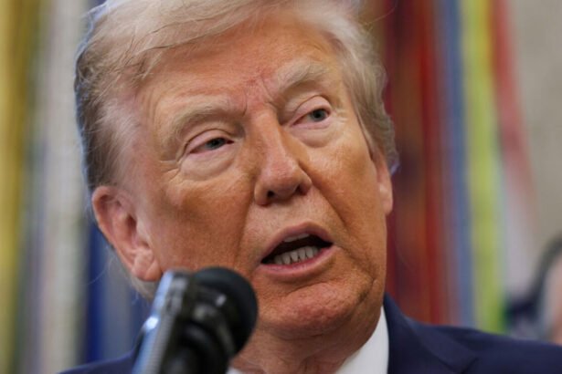 Trump Threatens to Invoke Insurrection Act to Bypass Courts, Send Troops to Blue Cities