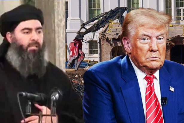 Archaeologist Compares Trump’s ‘Horrific’ White House Demolition to ISIS 'Cultural Vandalism'