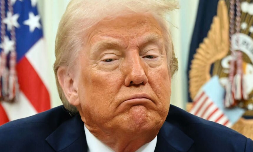 Trump Backtracks on Homeland Security Cuts to New York After Backlash