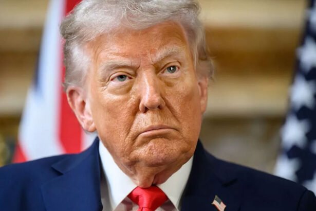 Lawmaker Sounds Alarm: Trump Plotting Fake Crisis to Scrap 2028 Election and Stay in Power