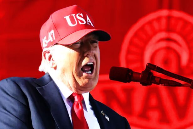 Trump Reveals Insane Event at White House Lawn for 80th Birthday