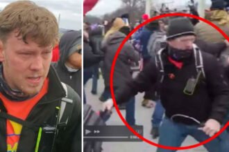 J6 Attacker Pleads Guilty to Child Sex Crimes — But Walks Free Thanks to Trump’s Pardon