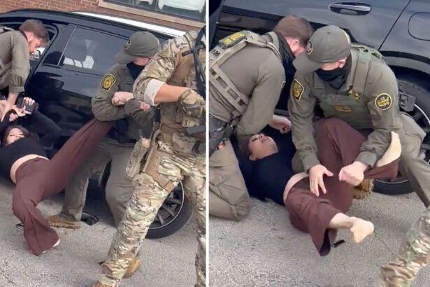 ICE Agents Ram U.S. Citizen’s Car, Drag Her Out at Gunpoint and Arrest Her Without Charges — Now She’s Fighting Back