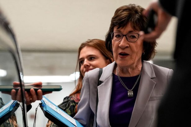 Senate Control in Play After Democratic Wins, Former Senator Says