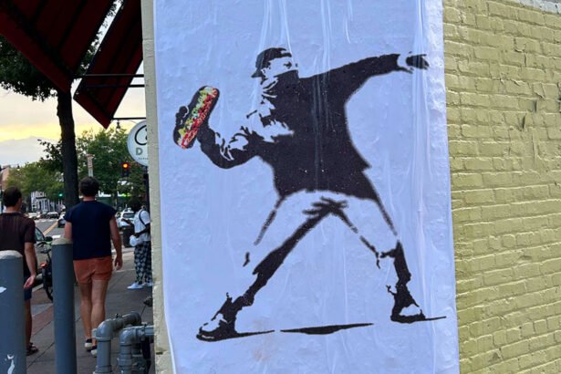 Border Agent Shocking Testimony in ‘Sandwich Tosser’ Trial: ‘It Kind of Exploded on My Chest, I Could Smell the Onions and Mustard’