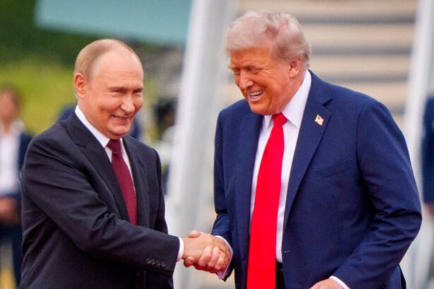 Wall Street Journal Drops Bombshell on Trump’s Profit-Driven Ukraine Peace 'Deal', Internet Erupts