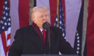 ‘Burn in Hell’: Trump Blasted for ‘Desecrating’ Veterans Day Ceremony at Arlington