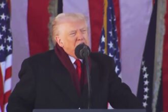 ‘Burn in Hell’: Trump Blasted for ‘Desecrating’ Veterans Day Ceremony at Arlington