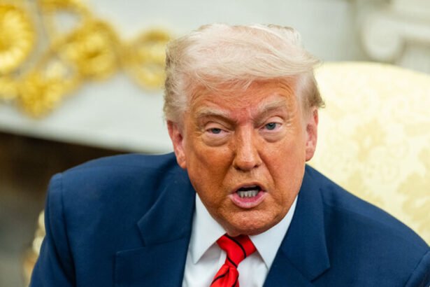 Trump Threatens to Punish New York if Mamdani Becomes Mayor, Predicts ‘Total Economic Collapse’