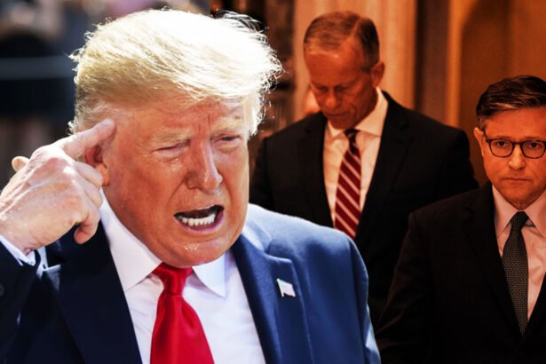 Trump’s Shutdown 'Victory' Suddenly Becomes a Nightmare for Republicans Ahead of Midterms