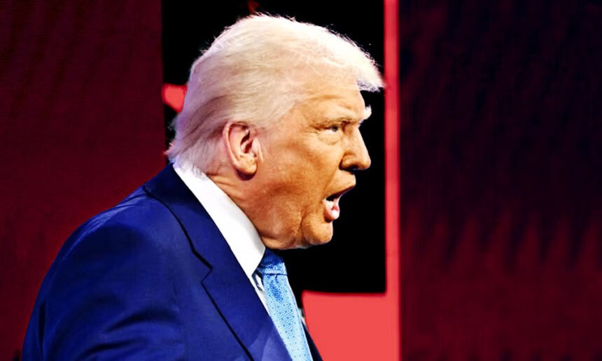 Internet Torches 'Demented Narcissist' Trump Over 'Deranged' Military Threat to Ally