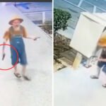 Florida Man Pulls Glock, Fires Several Shots Over Chicken Egg Dispute, Police Say