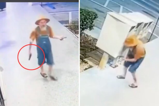 Florida Man Pulls Glock, Fires Several Shots Over Chicken Egg Dispute, Police Say