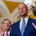 Senate GOP Might Block Key Epstein Files Before Public Release After House Vote