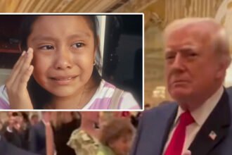 Thanksgiving Shock: Powerful Ad Tells ICE Agents to Quit While Trump Watches in West Palm Beach