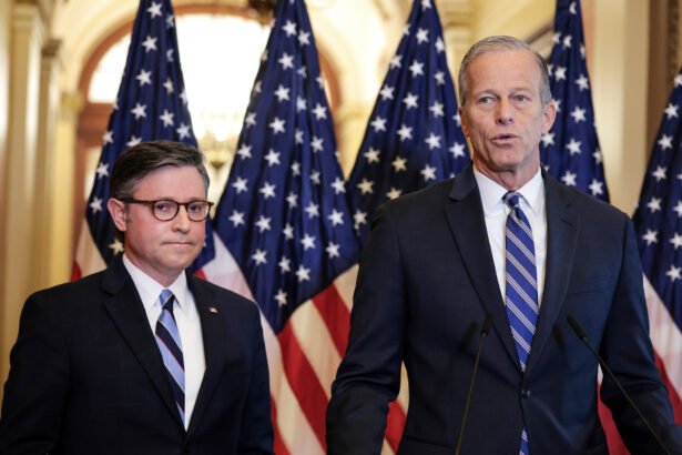 ‘A Ready, Shoot, Aim Exercise’: Republicans Tearing Themselves Apart Over Redistricting Fiasco, Blast Trump’s Botched Plan