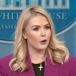 In Peak Irony, White House Accuses Democrats of Hiding Epstein Files They Want Released