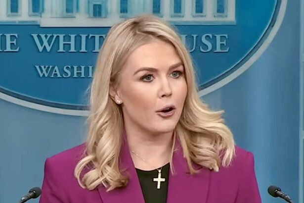 In Peak Irony, White House Accuses Democrats of Hiding Epstein Files They Want Released