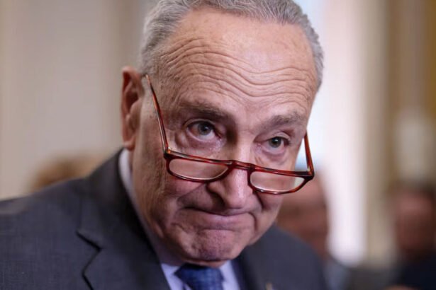 ‘Wrong at Every Turn’: Democrats Turn on Schumer for Folding on Shutdown Without Health Care Deal