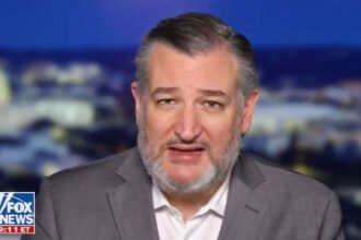 Ted Cruz Torched for Bizarre Fox News Tirade Against Zohran Mamdani: 'We Are Going to See New Yorkers Die'
