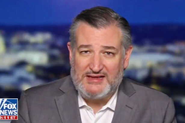 Ted Cruz Torched for Bizarre Fox News Tirade Against Zohran Mamdani: 'We Are Going to See New Yorkers Die'