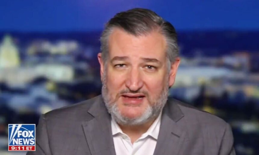 Ted Cruz Torched for Bizarre Fox News Tirade Against Zohran Mamdani: 'We Are Going to See New Yorkers Die'